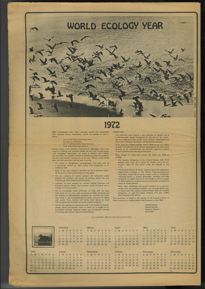 GSTRAIGHTno227-2