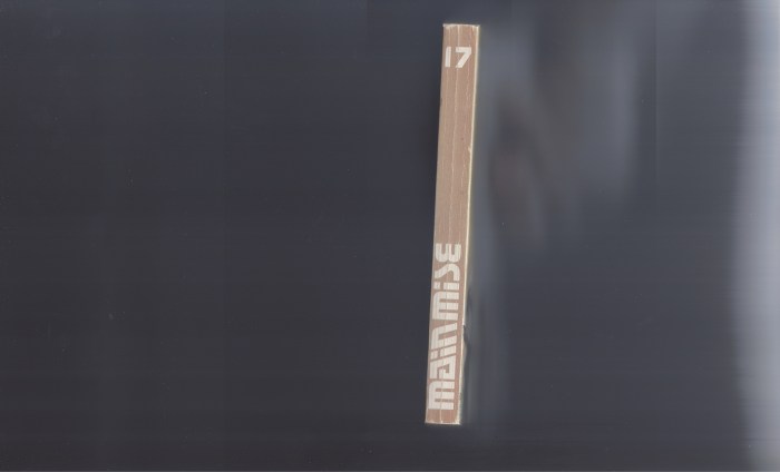 MAINMISE17cvra2SMALL