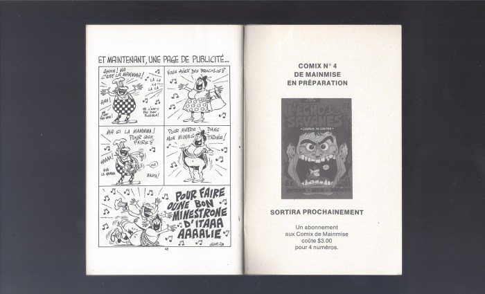 MAINMISEpiloteCVRbSMALL