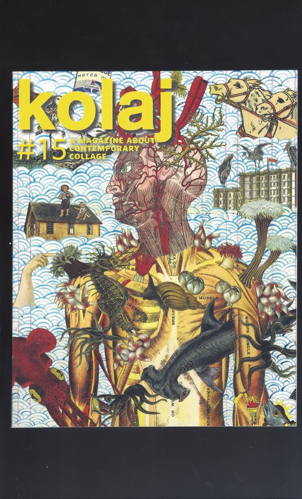 KOLAJ15cvrSMALL