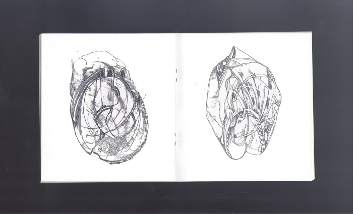SEEDSctfldSMALL