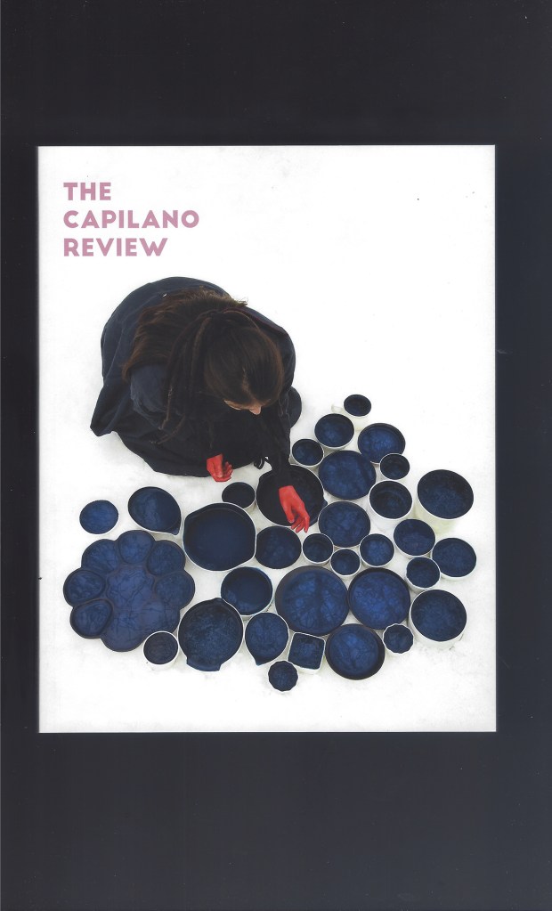 CAP328cvrSMALL