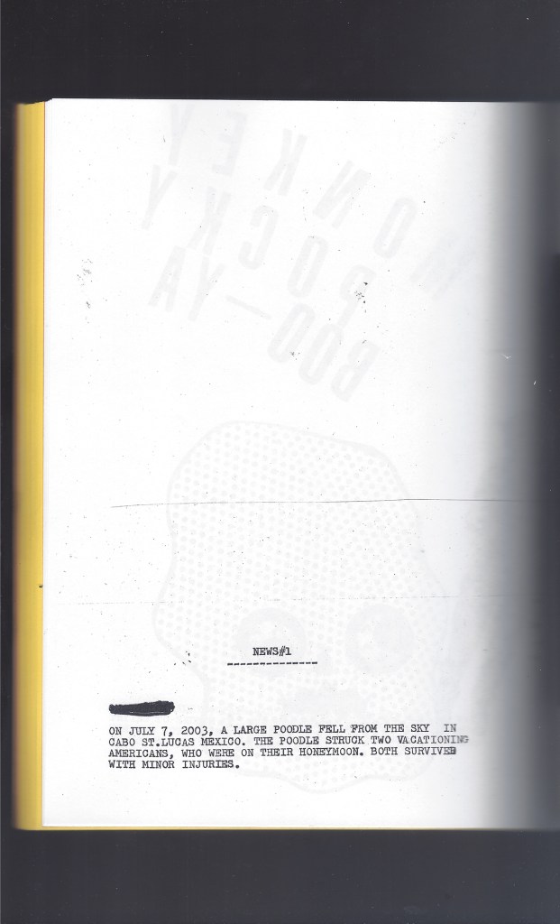 JGRADINmanholePZcSMALL