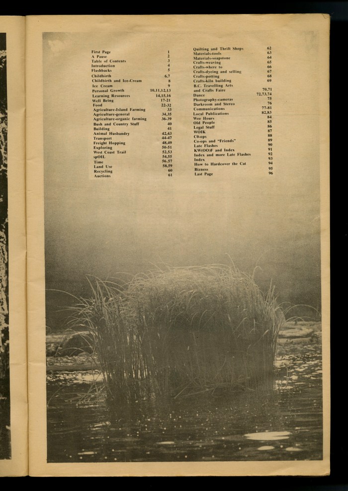 BCACCESSno2p006small