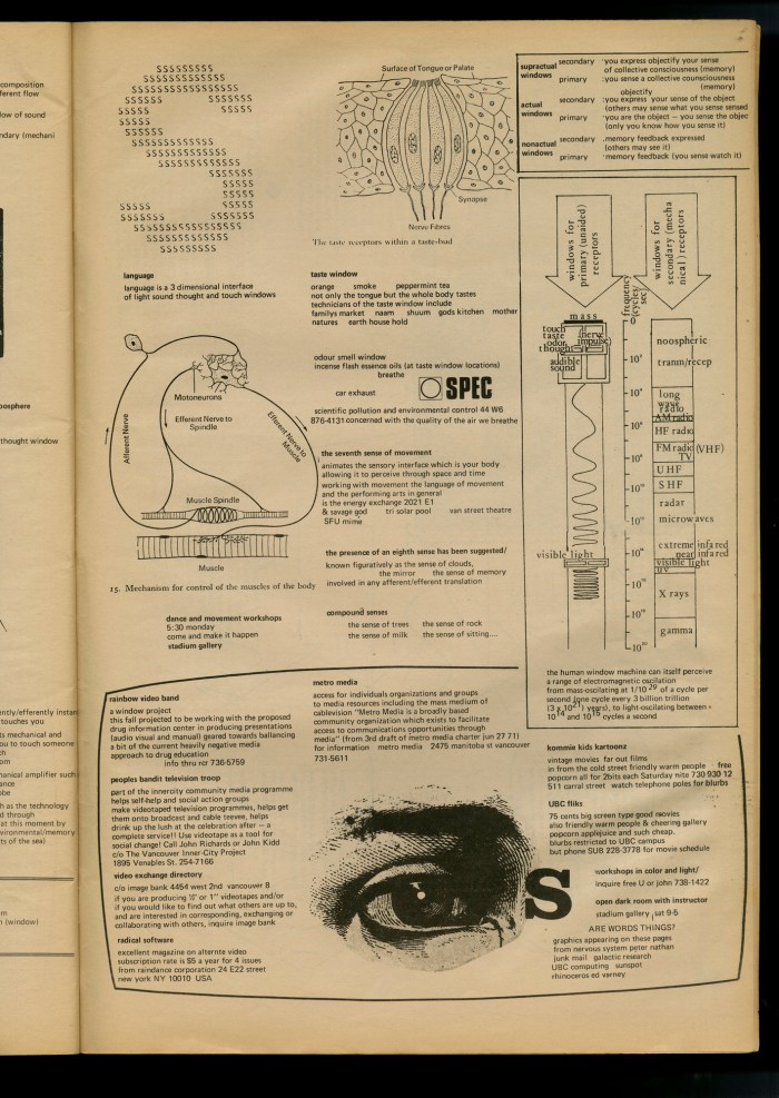 BCACCESSno2p010small